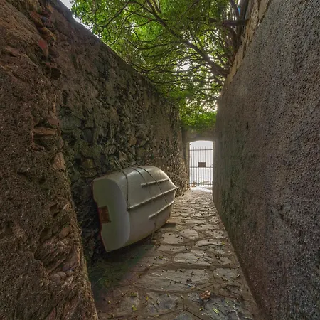 Beatrice House, Bogliasco, Sea Access, Ac 아파트 보글리아스코